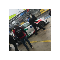 Fabrizio Giovanardi - WTCR 2018 - Nürburgring Nordschleife (DEU)