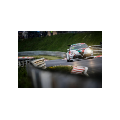 Fabrizio Giovanardi - WTCR 2018 - Nürburgring Nordschleife (DEU)