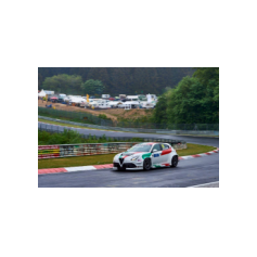Fabrizio Giovanardi - WTCR 2018 - Nürburgring Nordschleife (DEU)