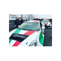 Fabrizio Giovanardi - WTCR 2018 - Nürburgring Nordschleife (DEU)