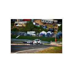 Fabrizio Giovanardi e Gianni Morbidelli - WTCR 2018 - Nürburgring Nordschleife (DEU)