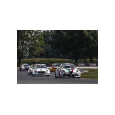 Fabrizio Giovanardi - WTCR 2018 - Slovakia Ring (SVK)