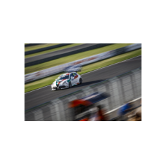 Fabrizio Giovanardi - WTCR 2018 - Slovakia Ring (SVK)
