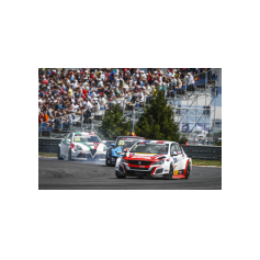 Fabrizio Giovanardi - WTCR 2018 - Slovakia Ring (SVK)