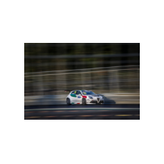 Fabrizio Giovanardi - WTCR 2018 - Wuhan International Street Circuit (CHN)