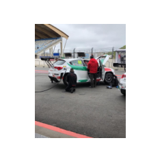 Fabrizio Giovanardi - WTCR 2018 - Circuit Zandvoort (NLD)