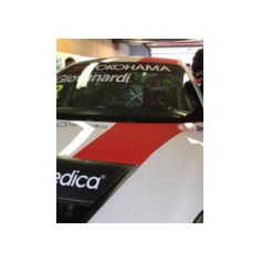 Fabrizio Giovanardi - WTCR 2018 - Circuit Zandvoort (NLD)