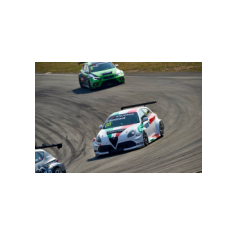 Fabrizio Giovanardi - WTCR 2018 - Circuit Zandvoort (NLD)