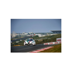 Fabrizio Giovanardi - WTCR 2018 - Circuit Zandvoort (NLD)
