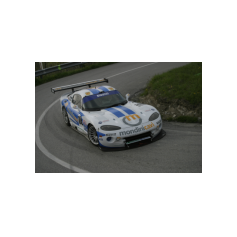 Marco Gramenzi - Predappio/Rocca delle Caminate 2004