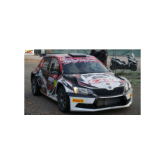 Niclas Grönholm / Antti Linnaketo - Monza Rally Show 2019