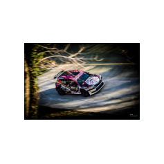 Niclas Grönholm / Antti Linnaketo - Monza Rally Show 2019
