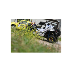 Baja Colline Metallifere 2024