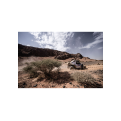 Stefano Marrini / Matteo Lardori - Dakar 2025