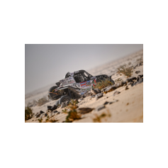 Stefano Marrini / Matteo Lardori - Dakar 2025