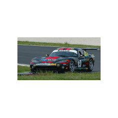 Gabriele Matteuzzi - Campionato Italiano GT 2003 - Misano Adriatico