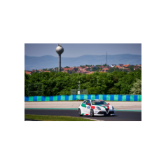 Gianni Morbidelli - WTCR 2018 - Hungaroring (HUN)