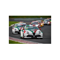 Fabrizio Giovanardi e Gianni Morbidelli - WTCR 2018 - Hungaroring (HUN)