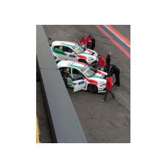 Fabrizio Giovanardi e Gianni Morbidelli - WTCR 2018 - Circuit Zandvoort (NLD)