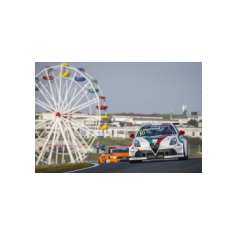 Gianni Morbidelli - WTCR 2018 - Circuit Zandvoort (NLD)