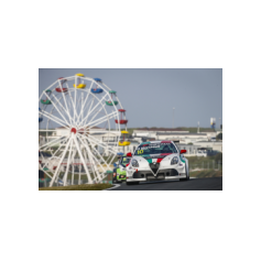 Gianni Morbidelli - WTCR 2018 - Circuit Zandvoort (NLD)