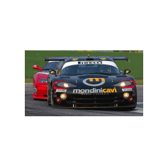 Piergiuseppe Perazzini - Campionato Italiano GT 2003 - Imola