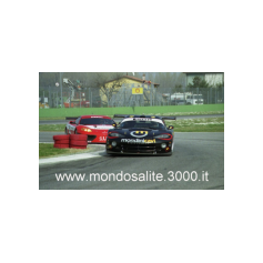 Piergiuseppe Perazzini - Campionato Italiano GT 2003 - Magione