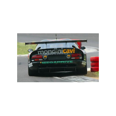 Piergiuseppe Perazzini - Campionato Italiano GT 2003 - Misano Adriatico