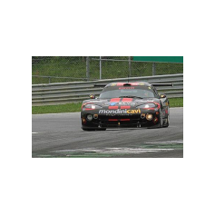 Piergiuseppe Perazzini - Campionato Italiano GT 2003 - Zeltweg