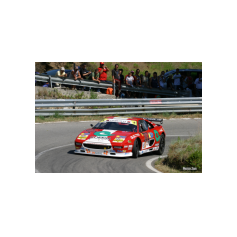 Franco Putelli - Cronoscalata del Reventino 2005