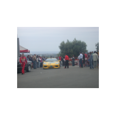 Giusy Tocco - Coppa Selva di Fasano 2003