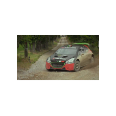 Alessandro Bettega - Yokohama Rally Experience 2018