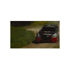 Alessandro Bettega - Yokohama Rally Experience 2018