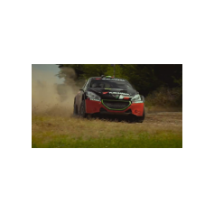Alessandro Bettega - Yokohama Rally Experience 2018