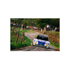 "Zippo" / Denis Piceno - Rally de Asturias Histórico 2025