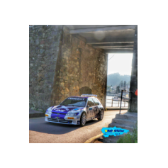 "Zippo" / Denis Piceno - Rally de Asturias Histórico 2025