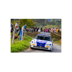 "Zippo" / Denis Piceno - Rally de Asturias Histórico 2025