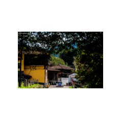 "Zippo" / Denis Piceno - Rally de Asturias Histórico 2025