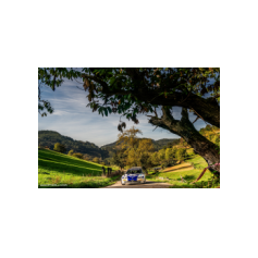 "Zippo" / Denis Piceno - Rally de Asturias Histórico 2025