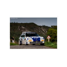"Zippo" / Denis Piceno - Rally de Asturias Histórico 2025