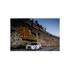 "Zippo" / Denis Piceno - Rally de Asturias Histórico 2025