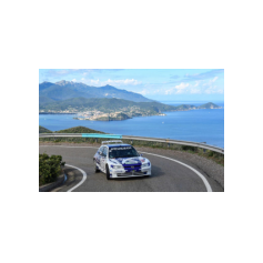 "Zippo" / Denis Piceno - Rally de Asturias Histórico 2025