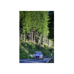 "Zippo" / Denis Piceno - Rallye Weiz Historic 2025