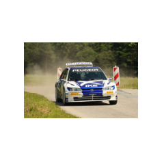 "Zippo" / Denis Piceno - Rallye Weiz Historic 2025
