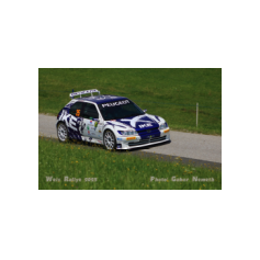 "Zippo" / Denis Piceno - Rallye Weiz Historic 2025