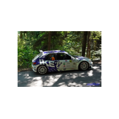 "Zippo" / Denis Piceno - Rallye Weiz Historic 2025